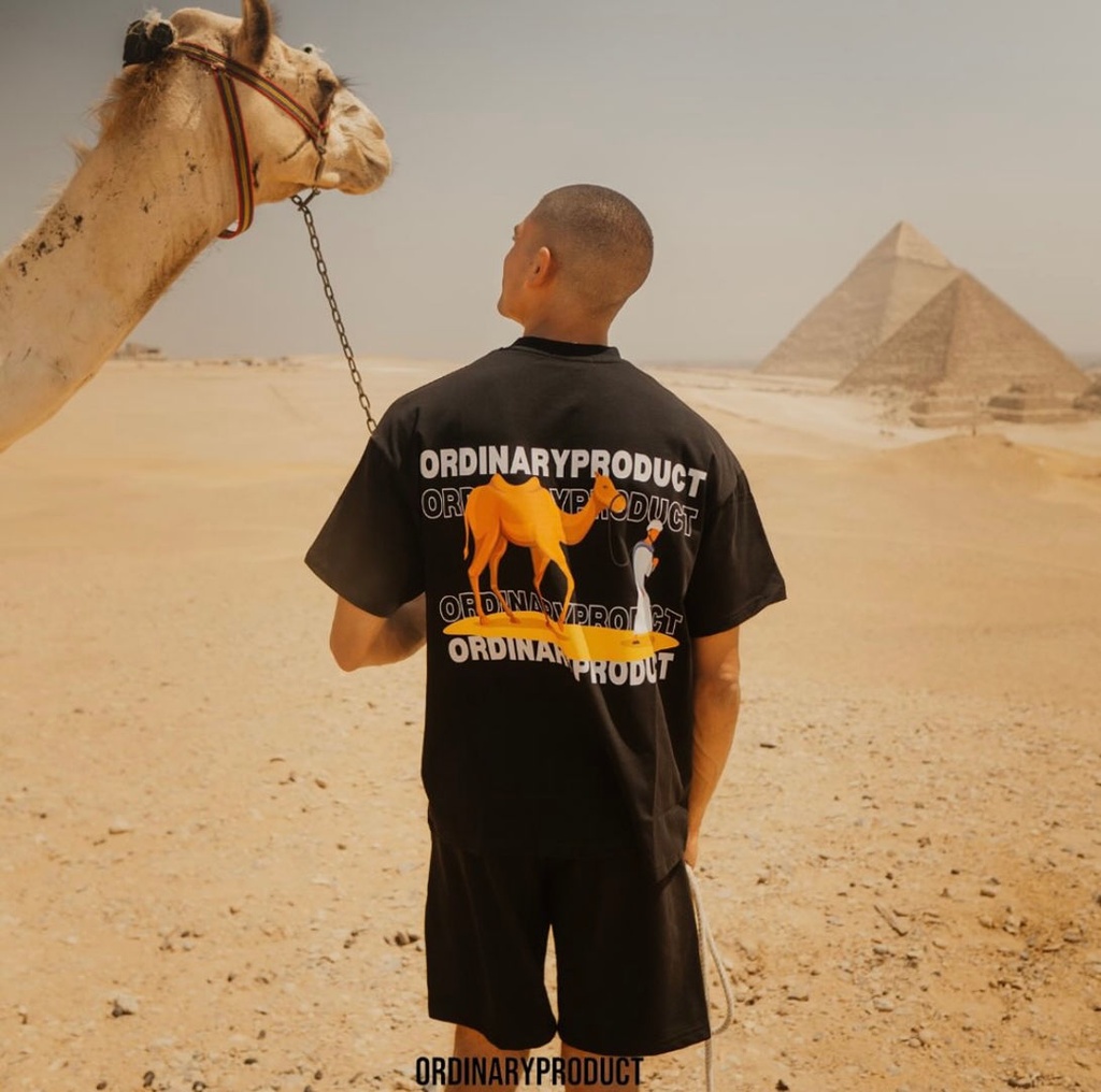 Ordinary Camel Tee